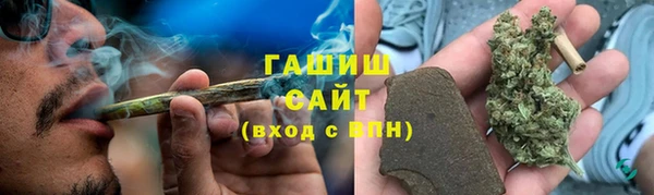 прущие грибы Алексеевка