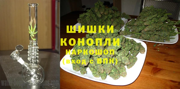 ГАЛЛЮЦИНОГЕННЫЕ ГРИБЫ Абдулино